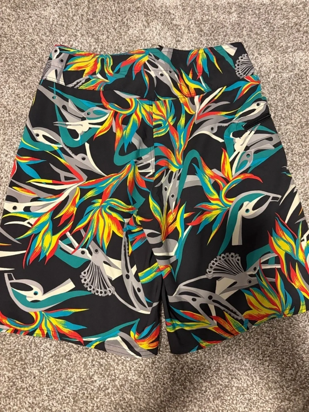 Patagonia men’s swim